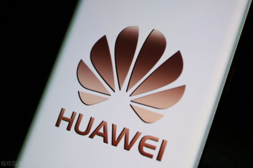 跨境電商快訊 數(shù)字文化創(chuàng)意內(nèi)容驅(qū)動內(nèi)容應用服務升級