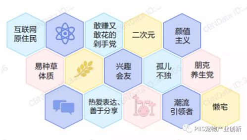 優寵智能2021 數字文化創意內容如何引爆寵物產品與服務